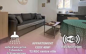 Appartement T2 40 M2 cosy RDC plein centre ville